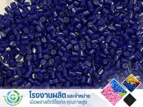 PP ม่วง PP ม่วง