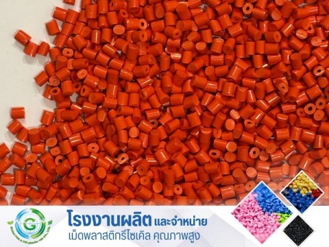 PP ส้ม PP ส้ม