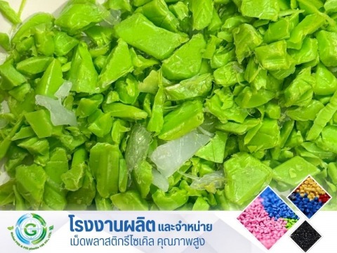 PP เขียวอ่อน PP เขียวอ่อน