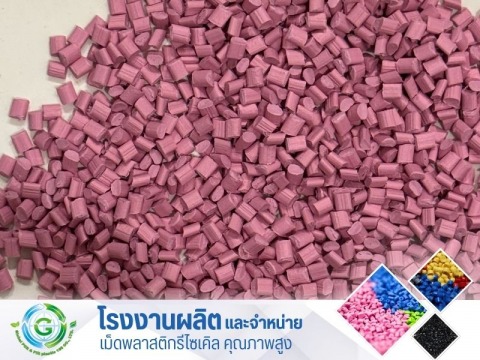 PP ชมพู (2) PP ชมพู (2)