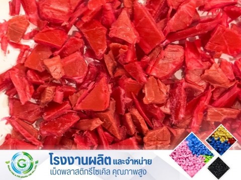 PP แดง PP แดง
