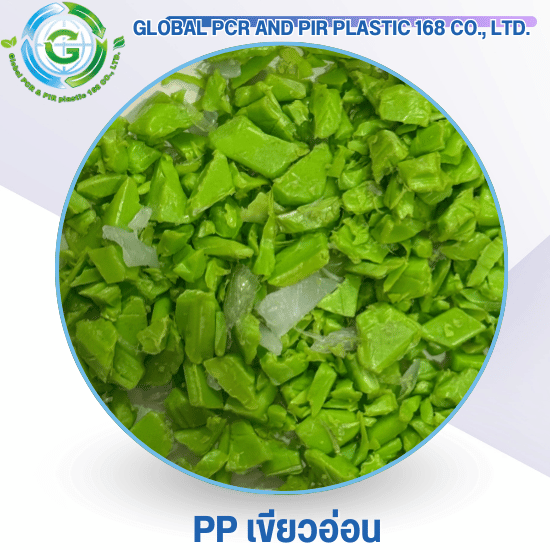 PP เขียวอ่อน PP เขียวอ่อน
