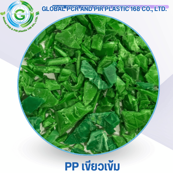 PP เขียวเข้ม PP เขียวเข้ม