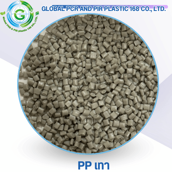 PP เทา PP เทา