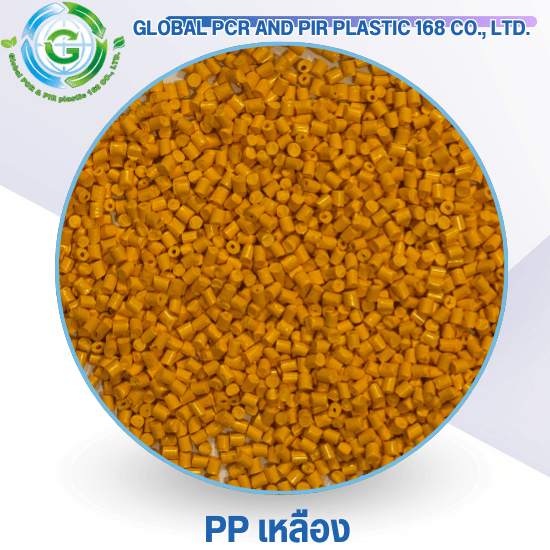 PP เหลือง PP เหลือง