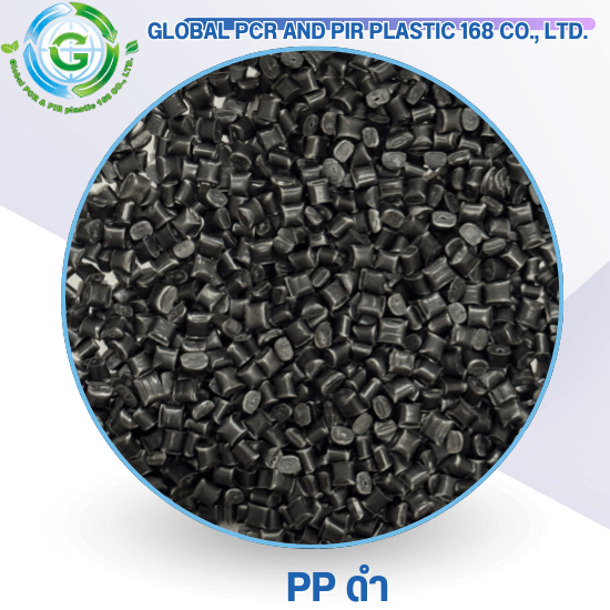 PP ดำ