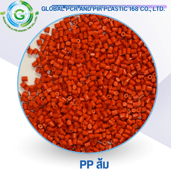 PP ส้ม PP ส้ม